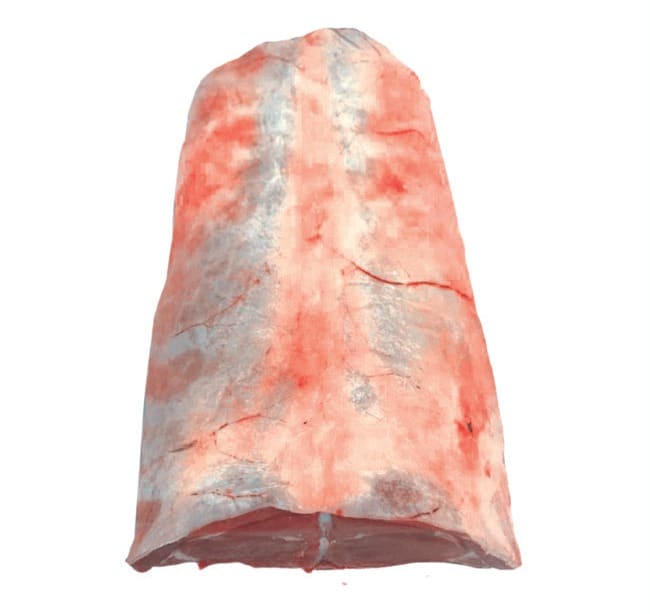 A whole lamb saddle, fat side up