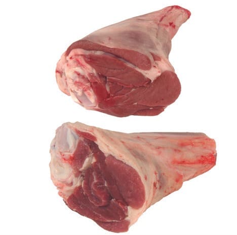 Two ovine shanks