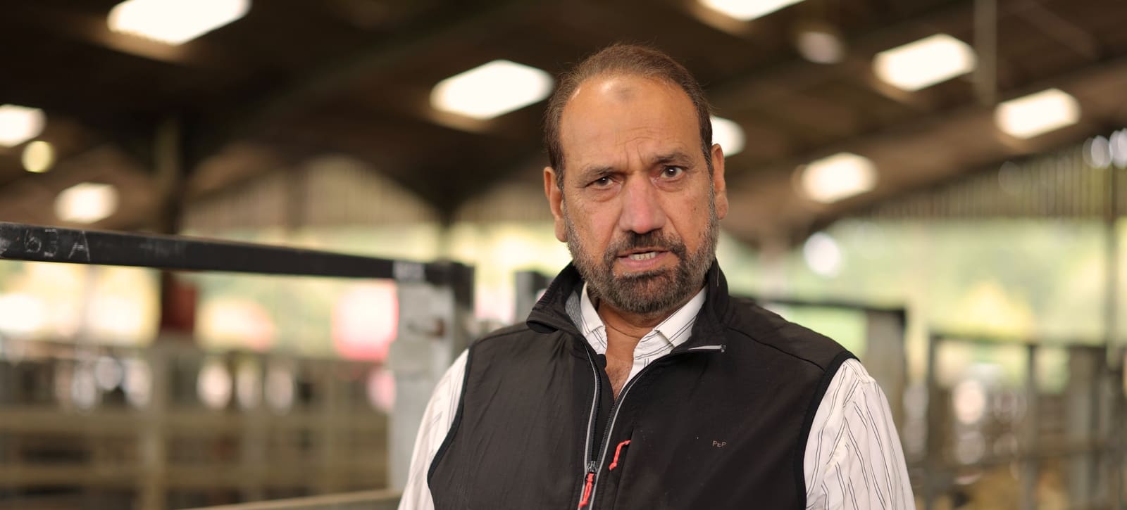 Mohammed Akram, CEO, at the livestock market