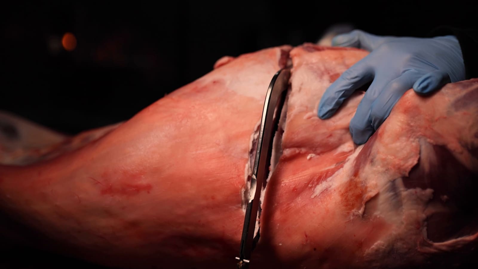 A lamb carcass cut on the block