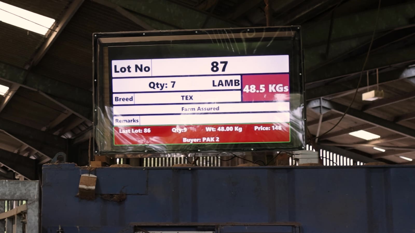 The sale board: lot 87, seven lambs averaging 48.5 kg