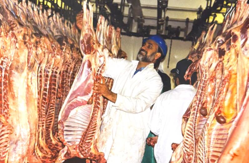 Mohammed Akram im Kühlhaus mit Lammschlachtkörpern, in den Anfangsjahren des Unternehmens