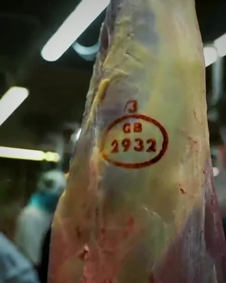 Il bollo sanitario GB 2932 impresso su una carcassa